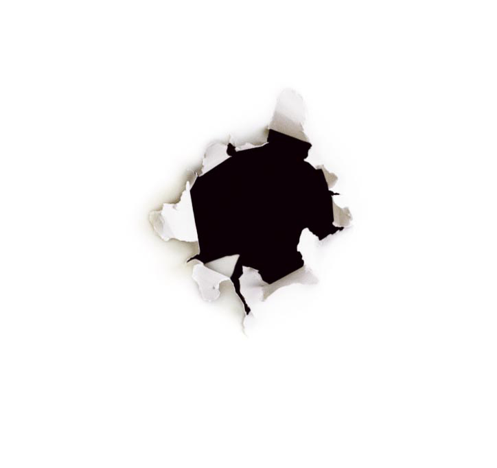 Quantum Black Hole